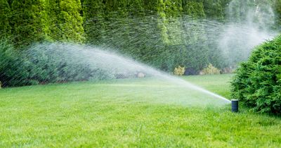 Lawn Sprinkler System